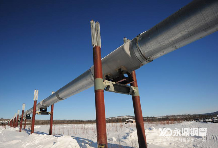 ʯ��������Ԍ��o�p䓹������»�����