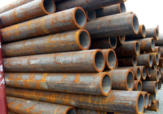 �o�p䓹�؛��չʾ